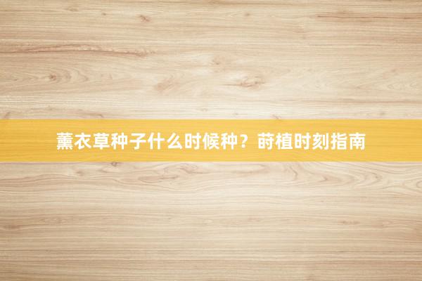 薰衣草种子什么时候种？莳植时刻指南