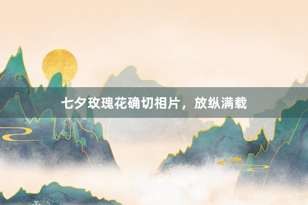 七夕玫瑰花确切相片,放纵满载